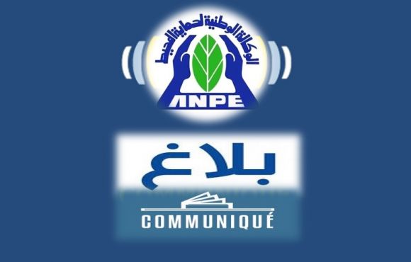 بــــــــــــــــــــــــــــــــــــــــــــــلاغ بــــــــــــــــــــــــــــــلاغ
تعلم الوكالة الوطنية لحماية المحيط أنه تطبيقا لمقتضيات منشور رئاسة الحكومة عدد 27 بتاريخ 07 نوفمبر 2024